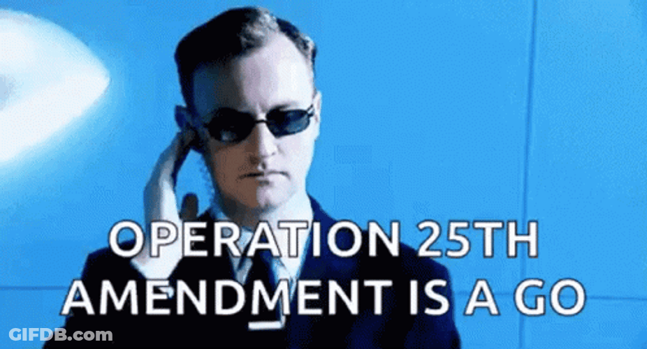 Secret Service Operation 25Th GIF