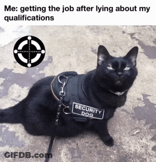 Security Cat Lying About Qualifications GIF