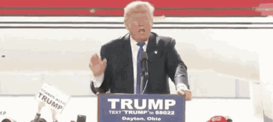 Security Secret Service GIF