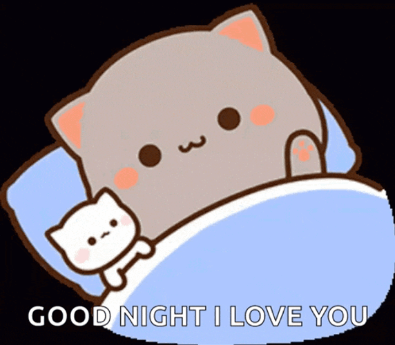 Sedkat GIF
