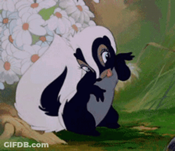 Seductive Lady Skunk GIF