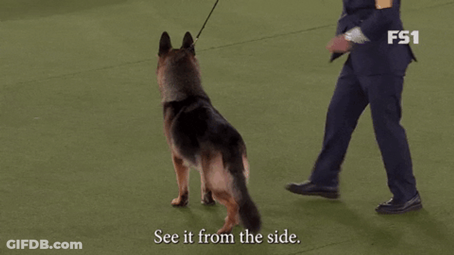See Hello From The Other Side And It's Beautiful GIF