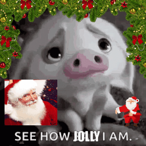 See How Jolly I Am Christmas Meme GIF