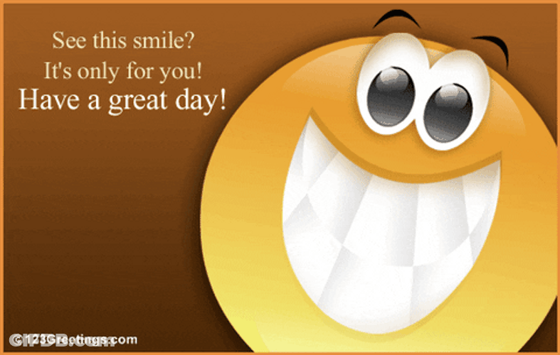 See This Smile For Wonderful Day GIF