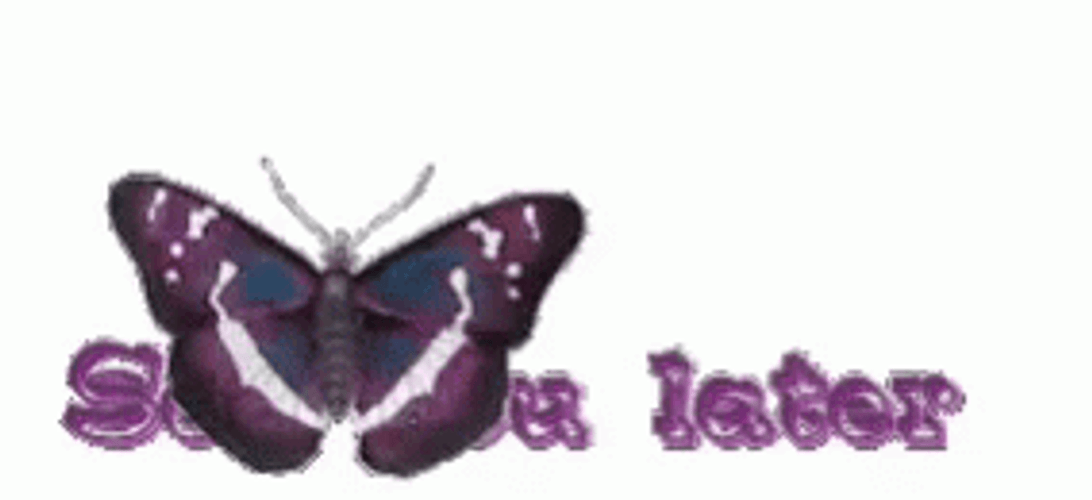 See You Later Butterfly GIF