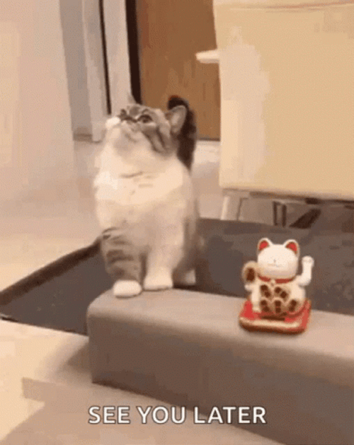 See You Later Funny Cat GIF