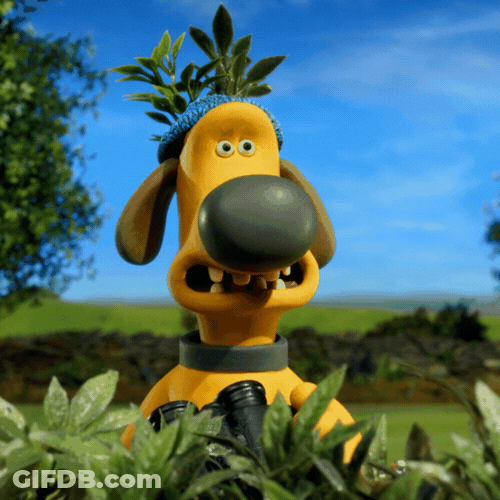 Seek Bitzer Telescope Spying Shaun The Sheep GIF