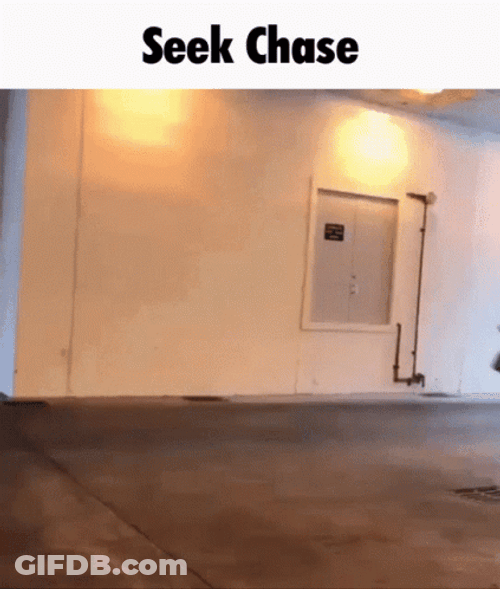 Seek Chase Run Meme GIF