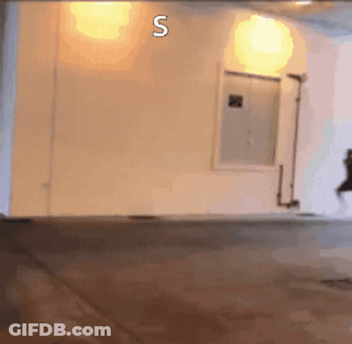 Seek Chase Running Meme GIF