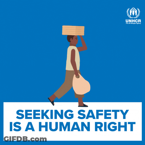 Seeking Safety Is A Human Right GIF