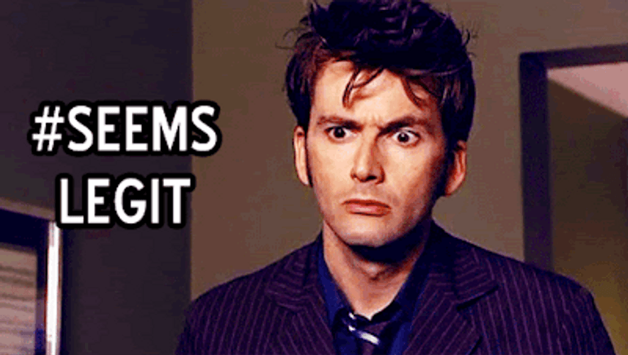 Seems Legit Eyebrow Raise GIF