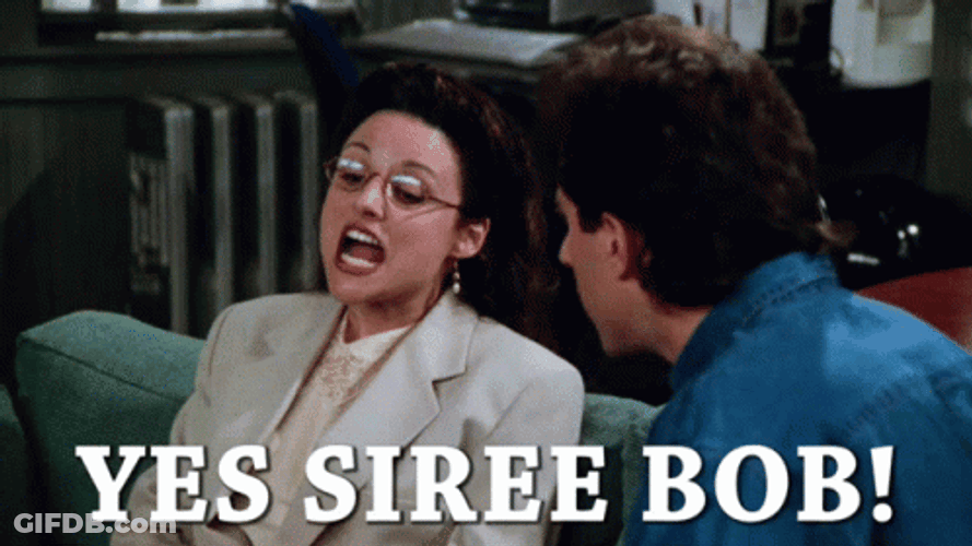 Seinfeld Yes Siree Elaine GIF