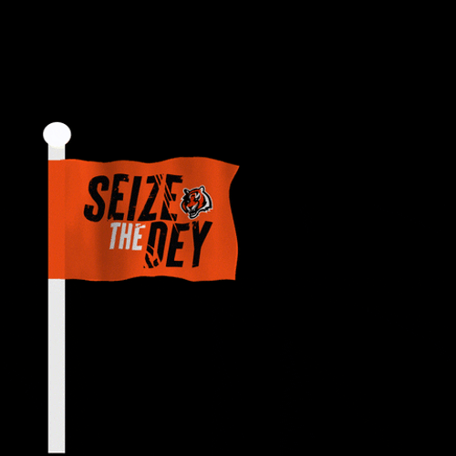 Seize The Dey Cincinnati Bengals Flag GIF