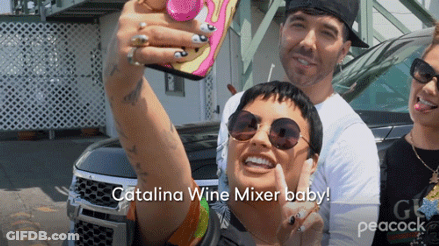 Selfie Demi Lovato Catalina Wine Mixer GIF