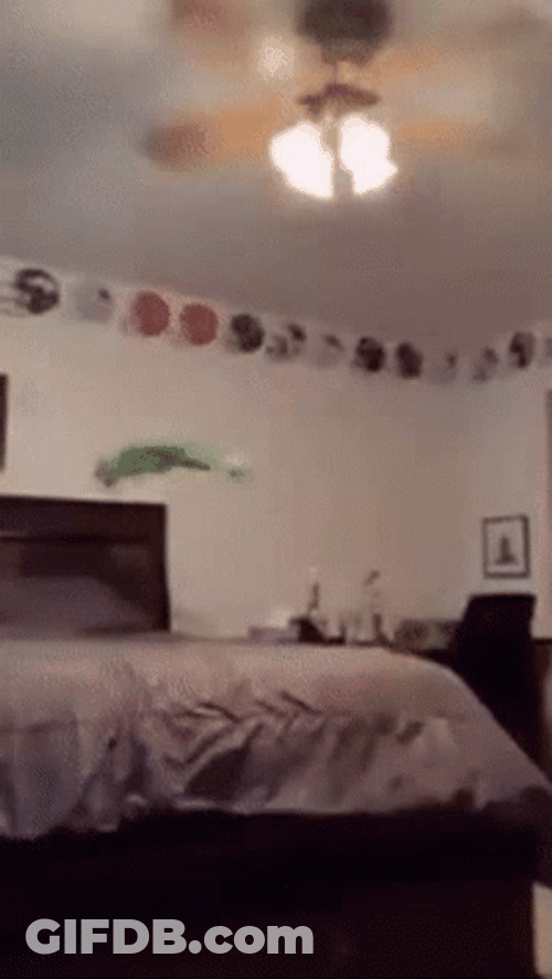 Selfie Kermit Falling Off Building GIF