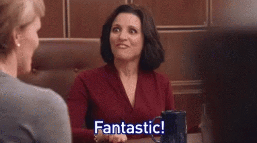 Selina Meyer Veep Smiling Fantastic GIF