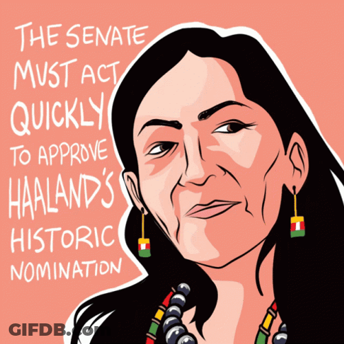 Senate Approve Deb Haaland GIF