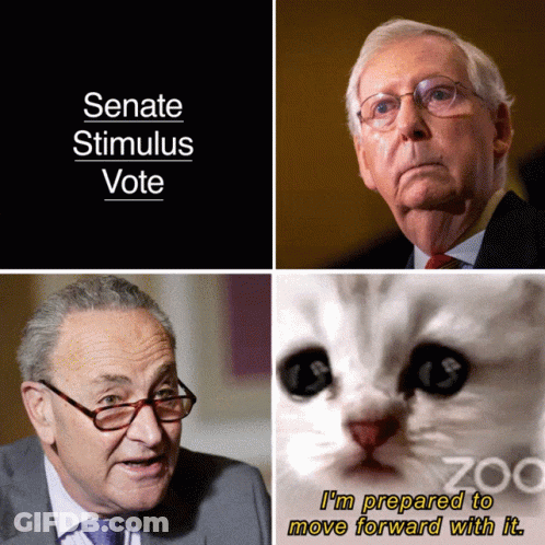 Senate Stimulus Vote Cat Poster GIF