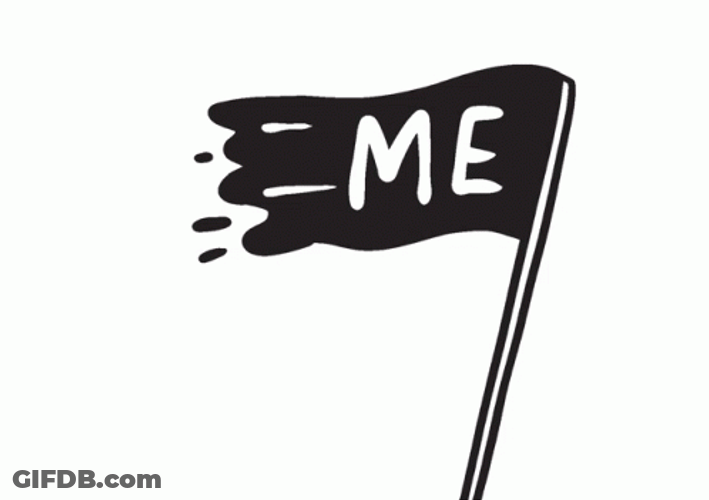 Send Help Flag GIF