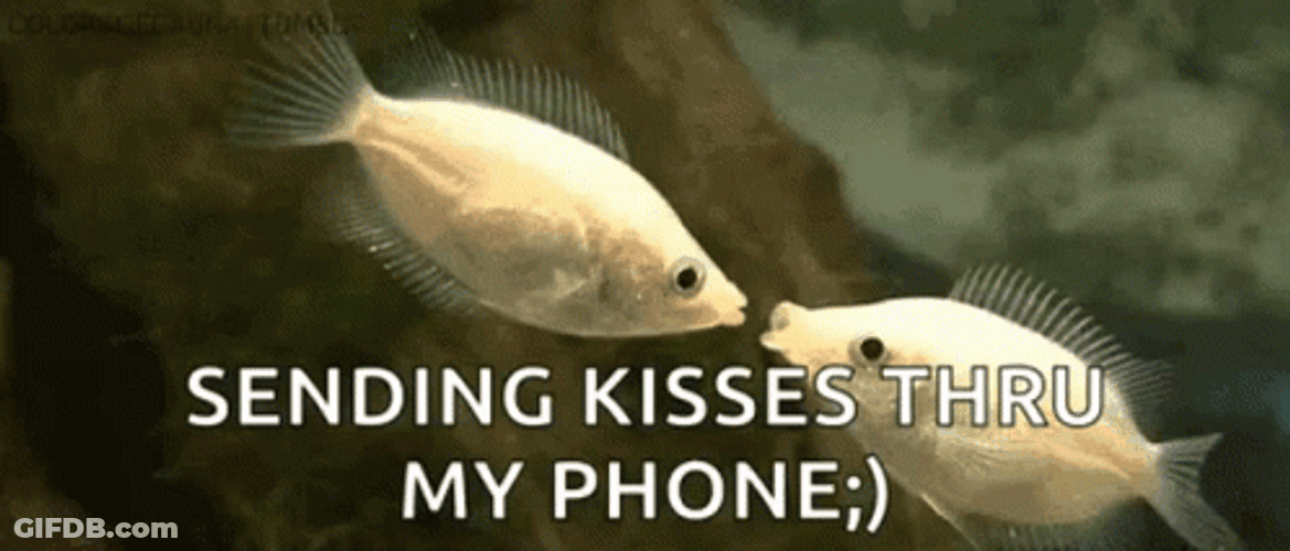Sending Kisses Thru My Phone GIF