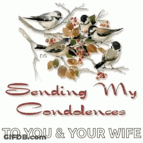 Sending My Condolences To Your And Your Wife GIF