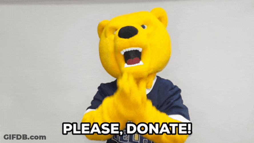 Senior Year Bear Mascot Please Donate GIF