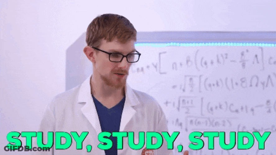 Senior Year Guy Explain Study Study GIF