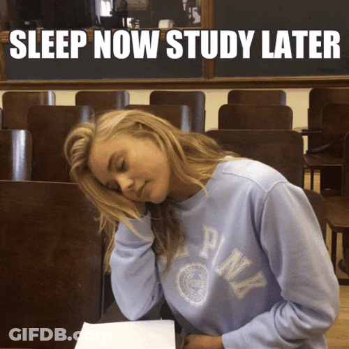 Senior Year Sleep Now Study Later GIF