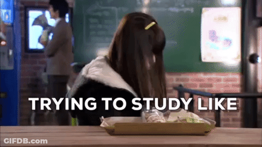 Senior Year Trying To Study Like GIF