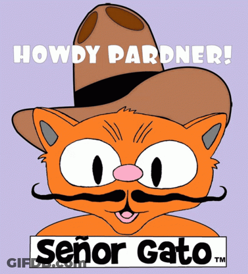 Señor Gato Moustache Howdy Partner GIF
