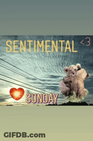 Sentimental Sunday Sign With Hugging Animals GIF