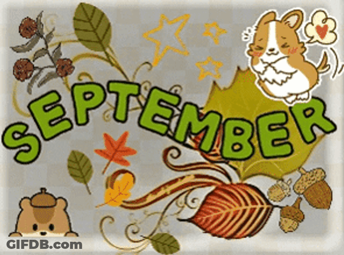 September's Here Acorn Season GIF