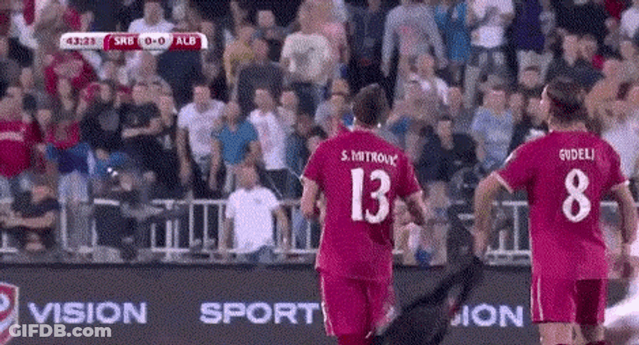 Serbia Albania Euro Brawl GIF