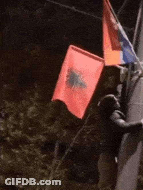 Serbia Albania GIF