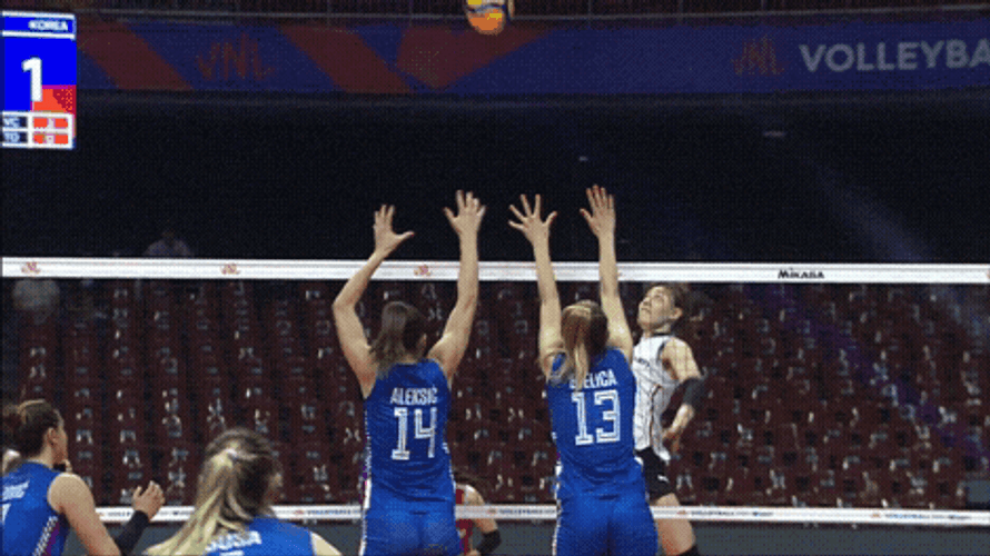 Serbia Ana Bjelica Block GIF
