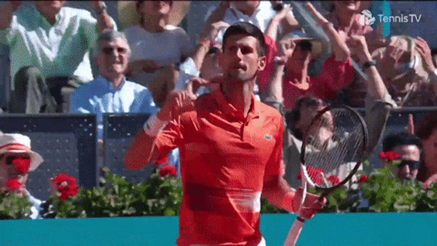Serbia Djokovic Fist Pump GIF
