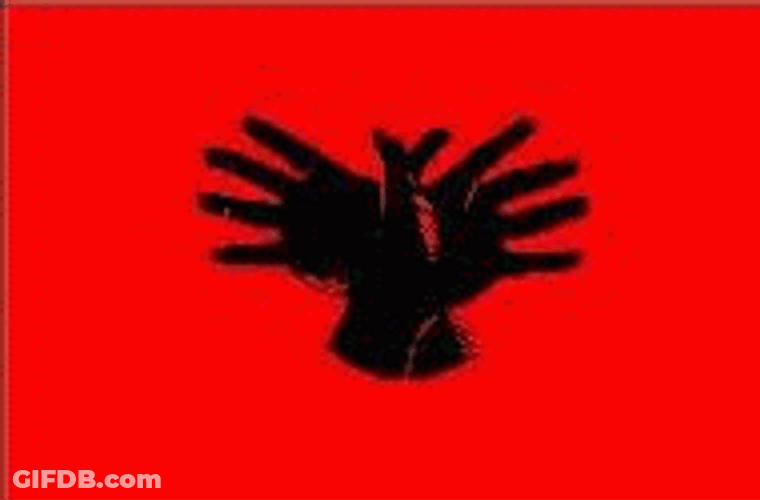 Serbia Eagle Shadow Hands GIF