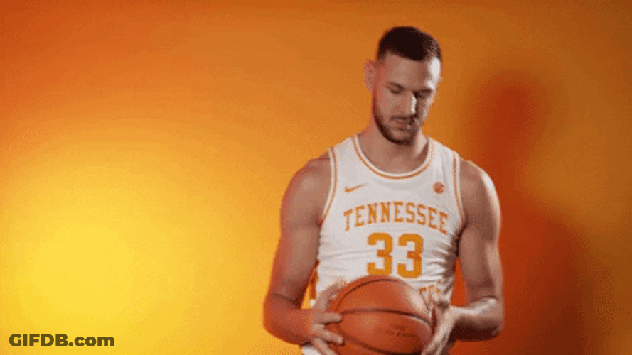 Serbia Plavsic Tennessee Ball GIF