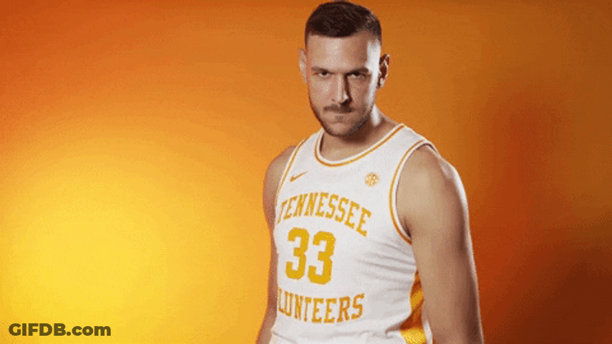Serbia Plavsic Tennessee Serious GIF