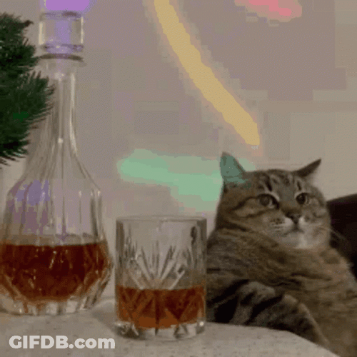 Serbian Party Cat Celebration GIF