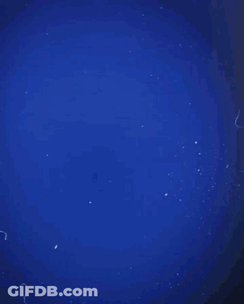 Serdar Aziz Goal GIF