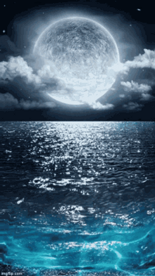 Serene Ocean Wallpaper GIF
