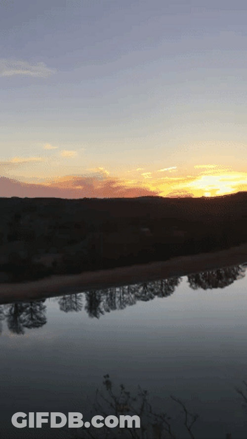 Serenity Now Calming River Phone Footage GIF