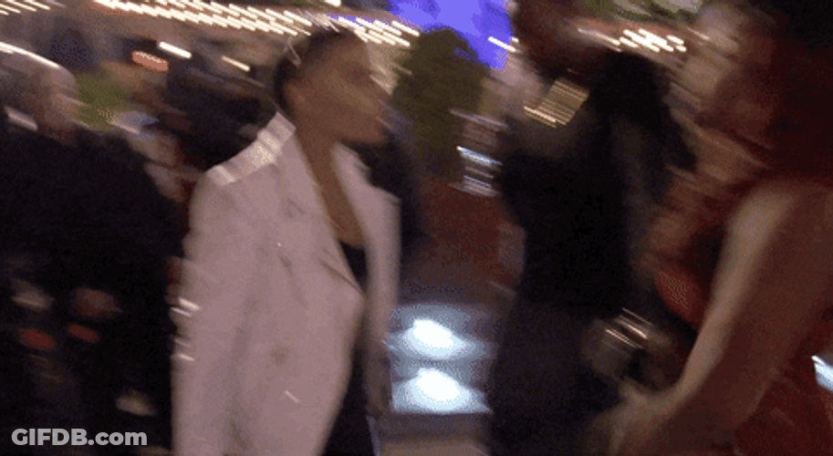 Serious Cat Fight GIF