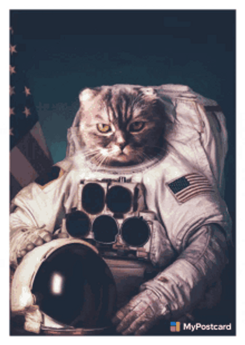 Serious Cool Cat Space Astronaut GIF