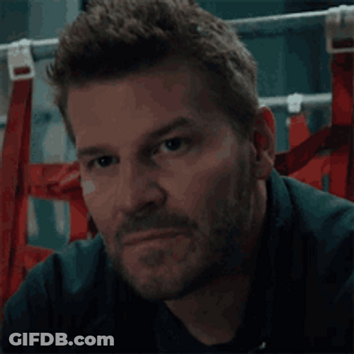 Serious Face Long Stare Jason Hayes GIF