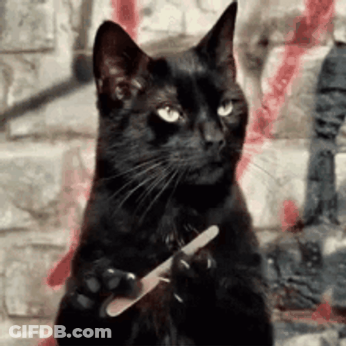 Serious Face Nail Filing Bored Cat GIF