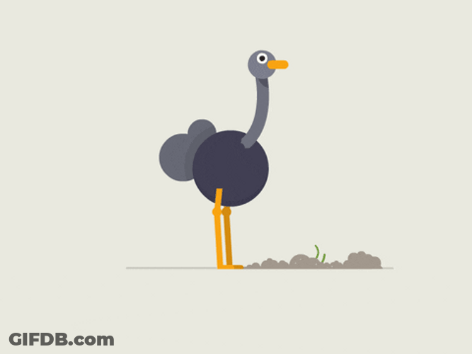 Serious Ostrich Gargling Water GIF