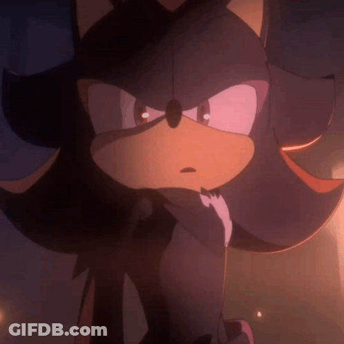 Serious Shadow The Hedgehog GIF