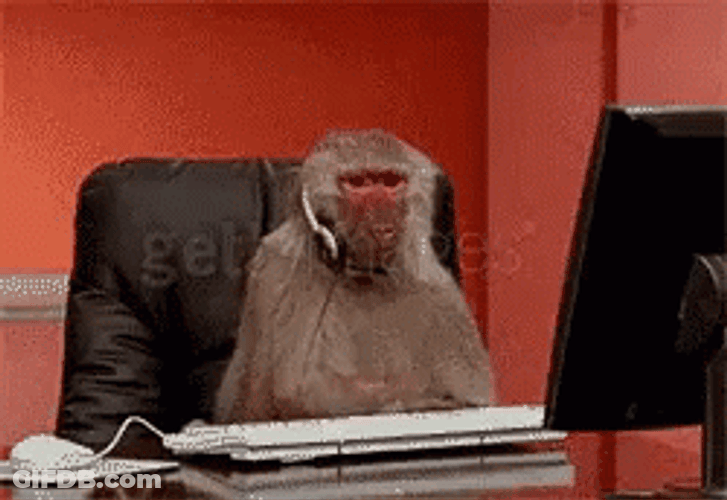 Serious Working Monkey Typing GIF
